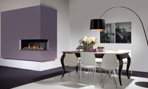 Duet Smart Gas Fireplace (M & L)